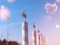 -丁香湖公园