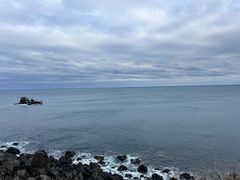 -涉地可支