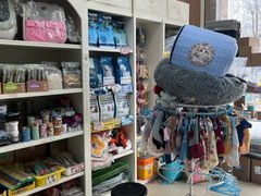 -米苏动物医院·犬猫专科·骨科外科内窥镜