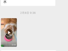 -趣玩宠物乐园寄养训犬训狗游泳池