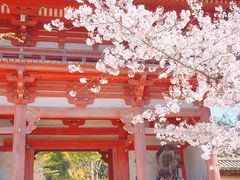 -醍醐寺