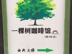 -一棵树咖啡馆(泉乐坊店)