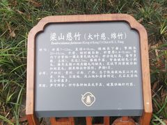 -望江楼公园