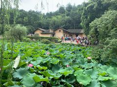 -韶山毛泽东同志故居