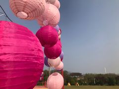 -合肥三国新城遗址公园