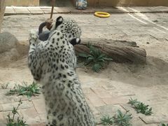 -青藏高原野生动物园