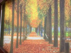 -大鸭梨烤鸭店(金顶街店)