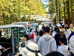 -日照海滨国家森林公园