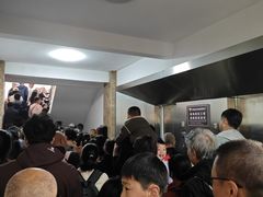 -栾川竹海野生动物园