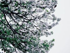 -中山公园