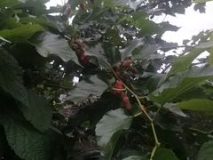 -任达丞国农庄(任达山庄店)