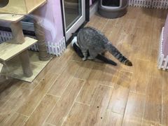 -联合动物医院(光谷诊疗中心)