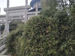 -八大山人梅湖景区