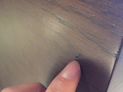 -舟山希尔顿酒店