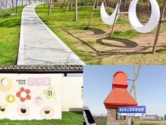 -杭州湾海上花田景区