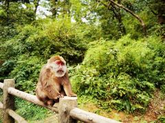 -峨眉山风景名胜区