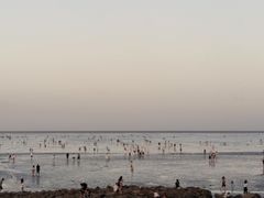 -南汇新城海滩