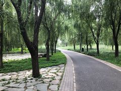 -东郊湿地公园