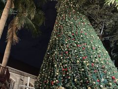 -广州市基督教东山堂