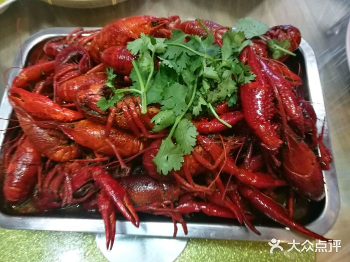 龙门大虾图片