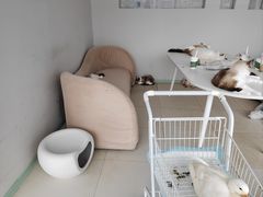 -怪兽屋·羊驼·猫咖·狗咖(俊华广场店)