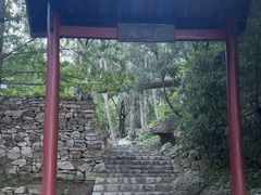 -原山国家森林公园