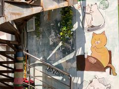 -猫咪博物馆(顶澳仔猫街店)