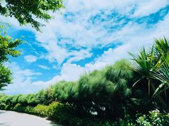 -深圳湾公园(南山区)