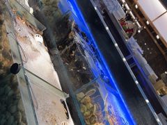 -苏格里岛自助烤肉海鲜火锅(成都金牛万达店)