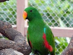 -南宫五洲植物乐园