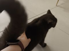 -平行世界·猫咖(首经贸店)