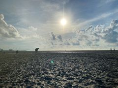 -北海金海湾红树林生态旅游区