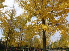 -浙江农林大学(东湖校区)