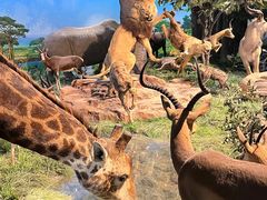 -国家自然博物馆