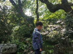 -西湖外事游船(花港观鱼码头)