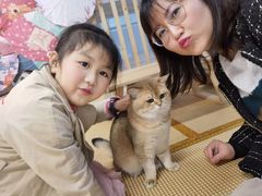 -柴迷FANS CLUB·柴犬狗咖·猫咖