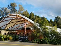 -怀托摩萤火虫洞