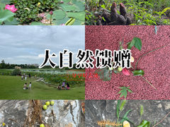 -澹台湖公园