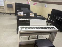 -柏斯琴行(汾阳店)