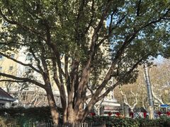 -徐家汇源景区-衡山公园