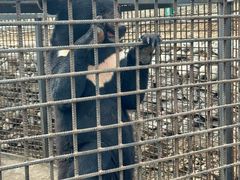 -水上乐园·欢乐世界