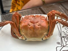 -七的湖·江南蟹舫·阳澄湖农家菜(蟹舫苑店)