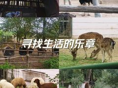 -青藏高原野生动物园