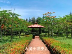 景点-白沙门生态公园