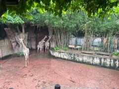 -长鹿旅游休博园