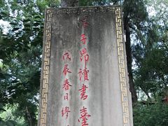 -子昂故里文化旅游区