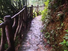 -滴水岩森林公园