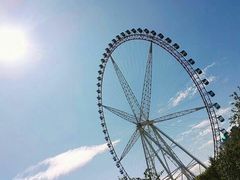 -哈尔滨文化公园