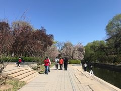 -元大都城垣遗址公园