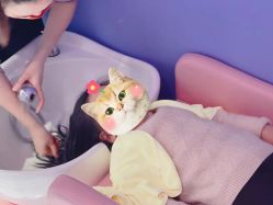 -海饼干Seabiscuit儿童美发(五角场合生汇店)
